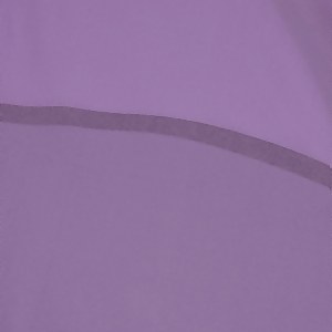 Men's Fastskin LZR Pure Valor Purple Reign Jammer