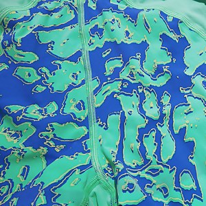 Fastskin LZR Ignite Schwimmhose für Herren Grün