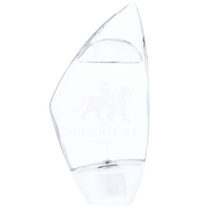 Sculpture homme shop