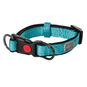 Solid Collar - Turquoise