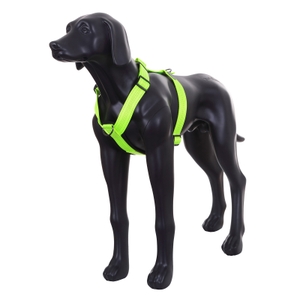 Form Neon Harness - Yellow