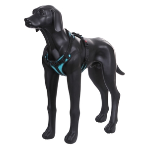 Solid Harness - Turquoise