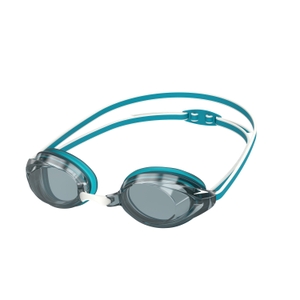 Vanquisher 2.0 Mirrored Goggles Blue