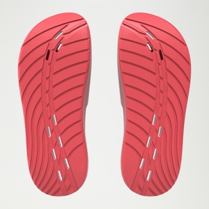 Men's Speedo Slide Red