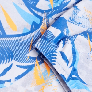 Boys Print Jammer Blue
