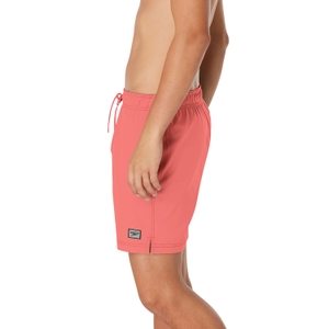 Men's Solid Redondo Edge 17" Volley Swim Trunks Pink