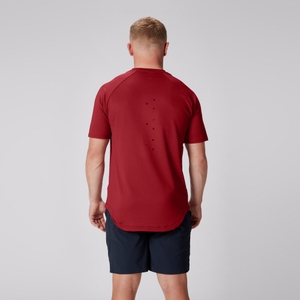 MENS BRITISH & IRISH LIONS CCC EVEREST T-SHIRT RED