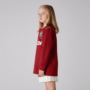 Junior Unisex British & Irish Lions Classic Long Sleeve Jersey Red