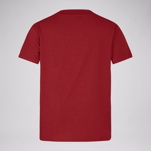 Junior Unisex British & Irish Lions Little Lions Tee Red
