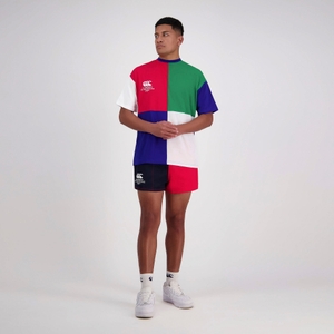 MENS HARLEQUIN T-SHIRT ASSORTED