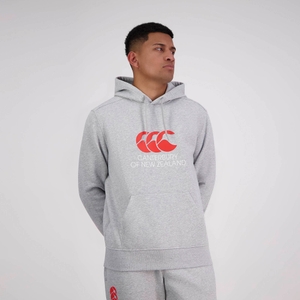 MENS CNZ HOODIE GREY