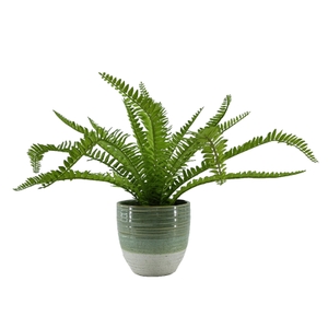 Artificial Fern in a Ceramic Pot