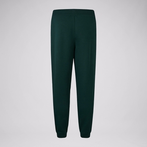 BRITISH & IRISH LIONS CCC STEALTH PANT GREEN