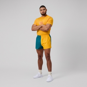 MENS FUNDAMENTAL HARLEQUIN SHORT ALPINE