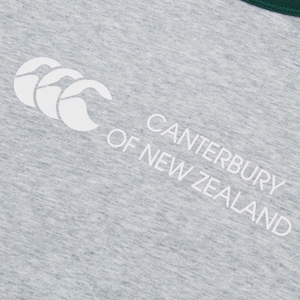 WOMENS LEGENDS RINGER T-SHIRT GREY