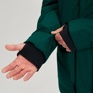 Men's Fernly Gore-Tex Down Parka - Green