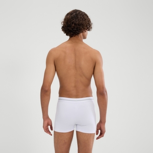 Men's Ambria Trunks Multi
