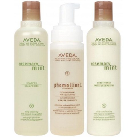 Aveda Fine Hair Pack (3 Products)