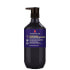Theorie Purple Sage Brightening Shampoo 13.5 fl oz