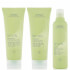 Aveda Be Curly Trio