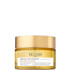 DECLÉOR White Magnolia Plumping Mask Absolute 50ml