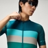 Deep Teal