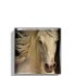 Chantecaille Wild Mustang Matte Eyeshadow 2.5g (Various Shades)