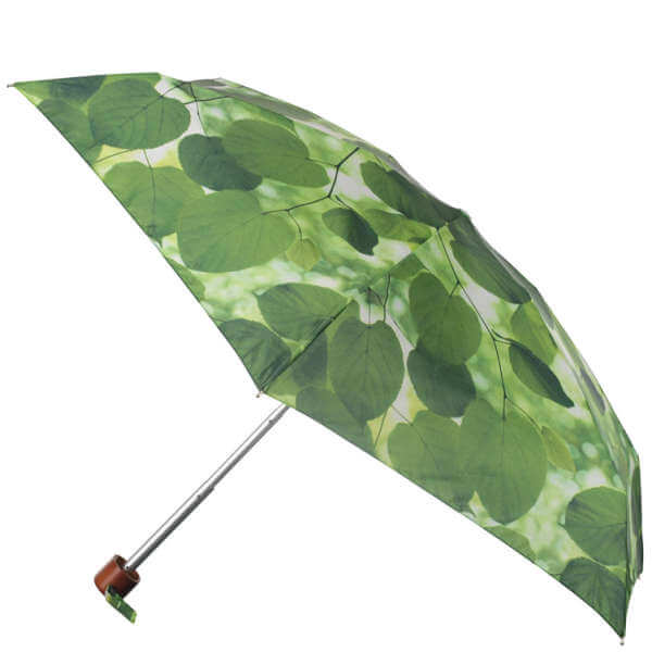 Fulton Ella Doran Sunlight through leaves Tiny umbrella