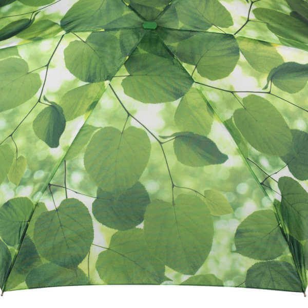 Fulton Ella Doran Sunlight through leaves Tiny umbrella