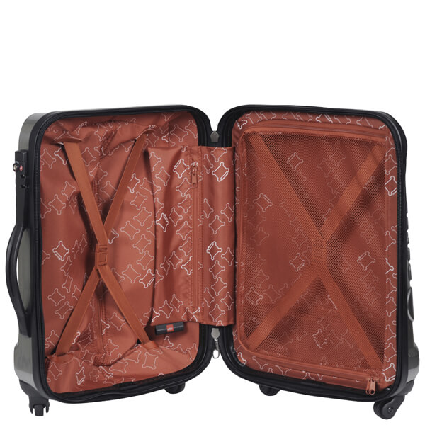 Delsey Inbox 53Cm 4 -Wheel Trolley Case - Metal Brushed