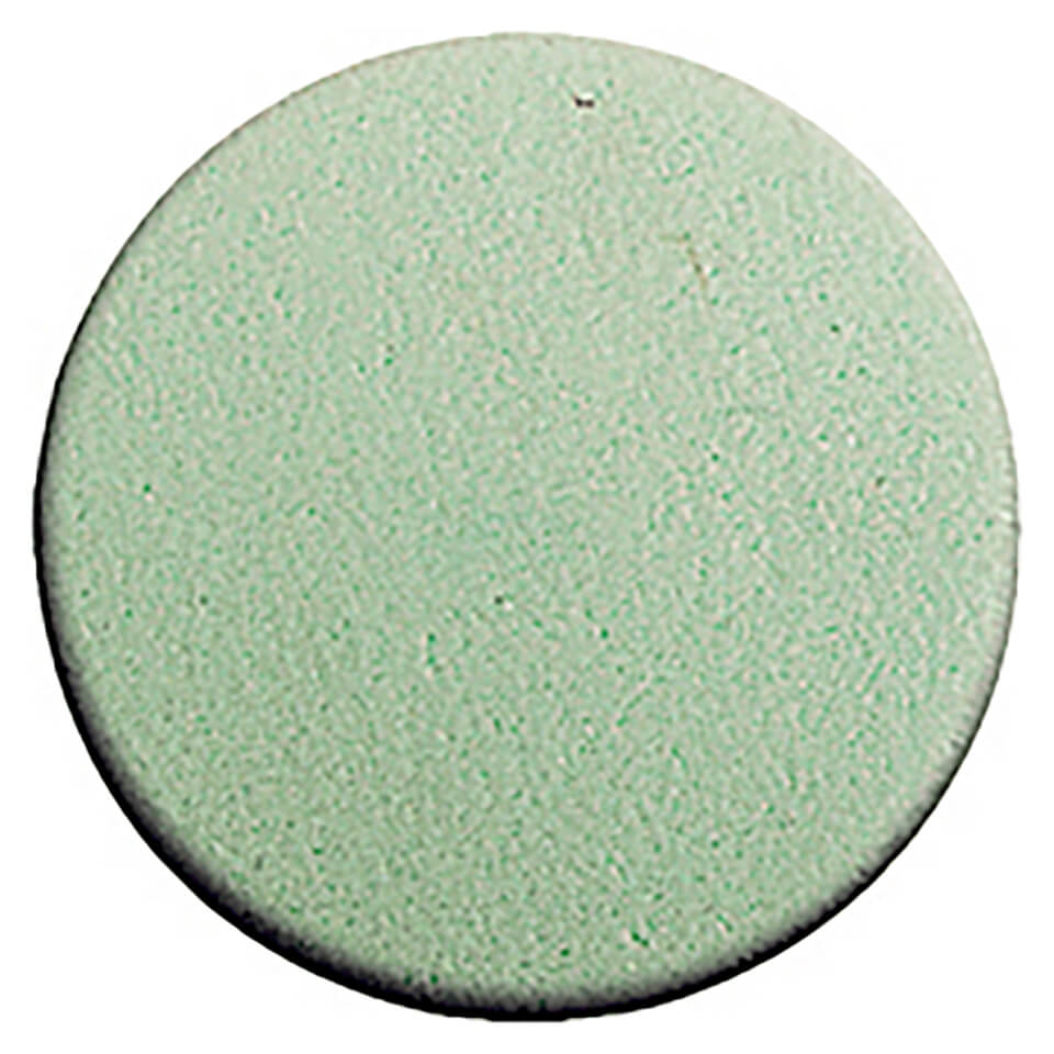 Lord & Berry Synthetic Sponge Green Round