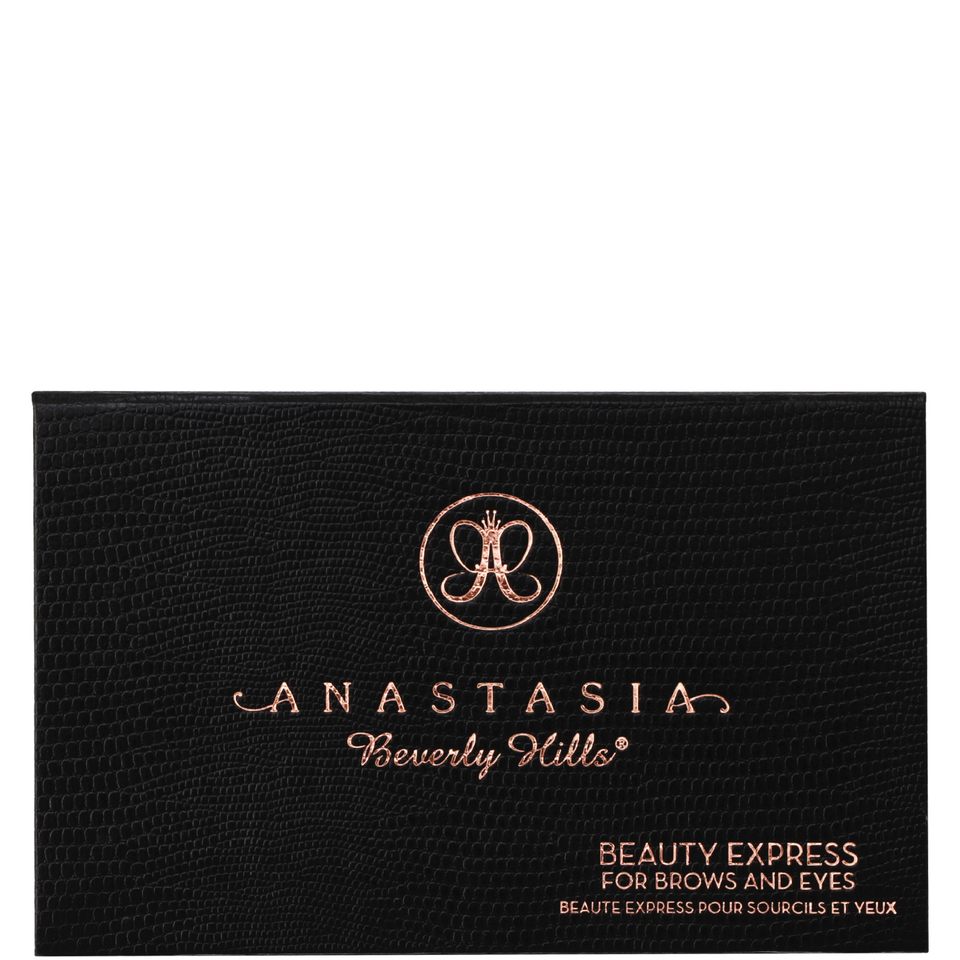 Anastasia Beauty Express Kit - Blonde