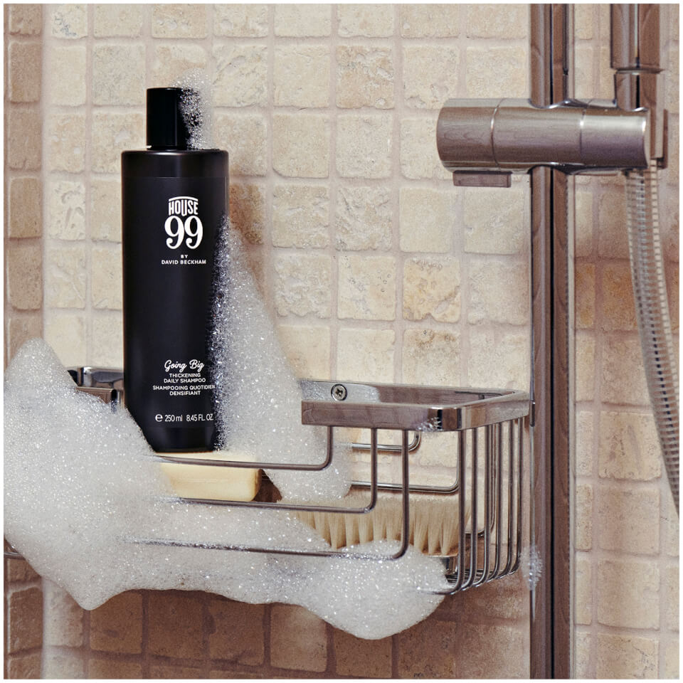 House 99 Going Big Thickening Daily Shampoo 250ml