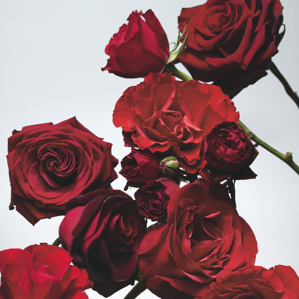 Reed Diffuser Jo Malone Diffuser Red Roses Red Roses Diffuser Jo