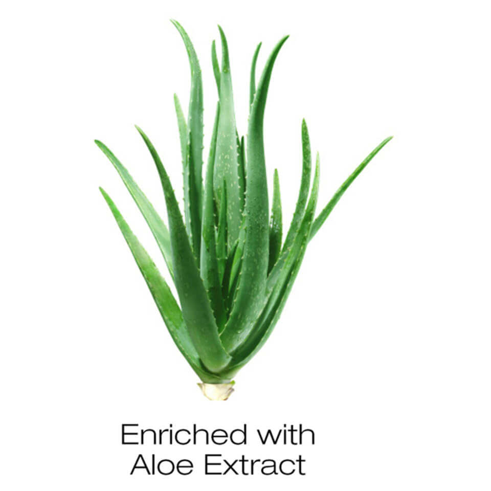 Garnier Natural Aloe Extract Gel Wash for Normal Skin 200ml