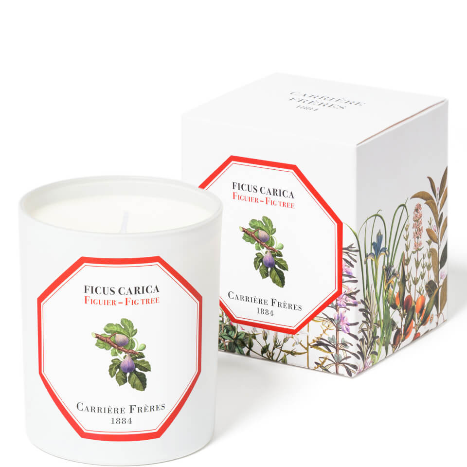 Carrière Frères Scented Candle Fig Tree - Ficus Carica - 185 g