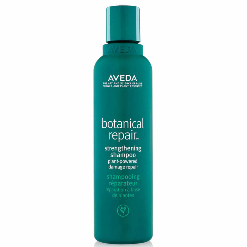 Aveda Botanical Repair Shampoo and Conditioner Duo