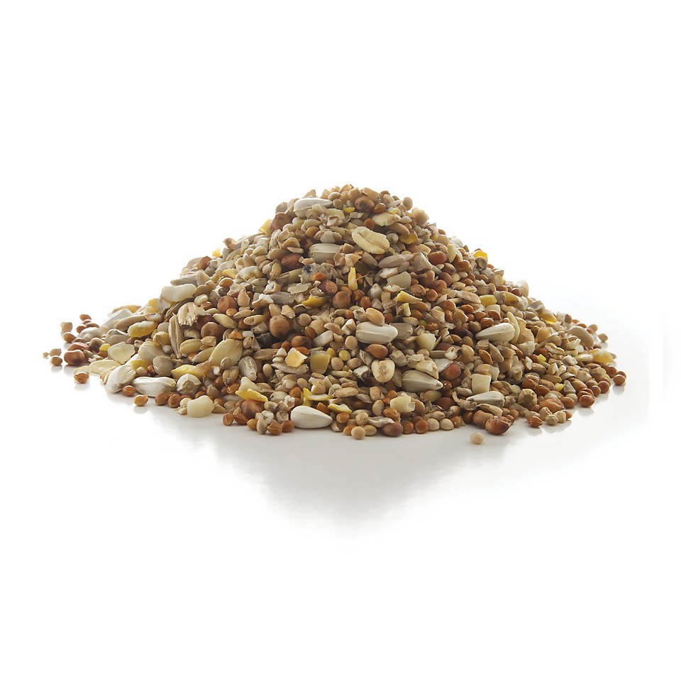 Peckish Complete Seed & Nut Mix Wild Bird Food - 2kg
