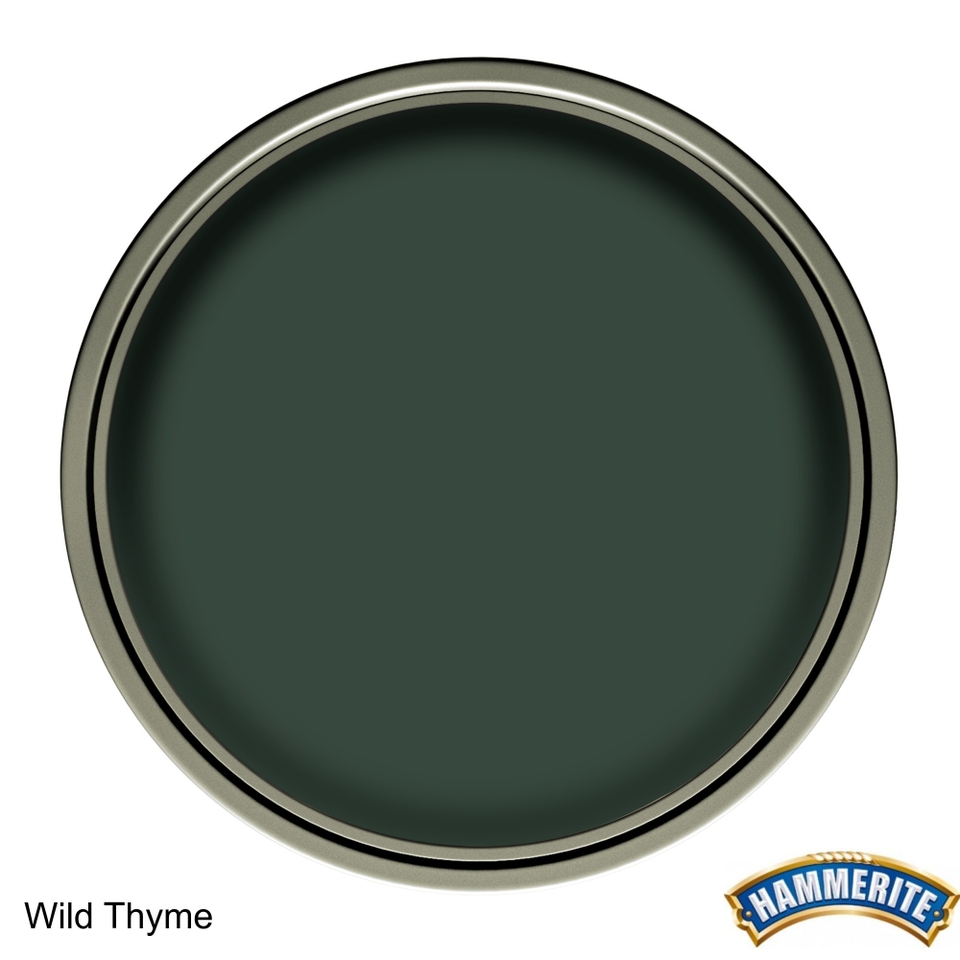 Hammerite Direct to Rust Exterior Metal Paint Smooth Wild Thyme - 250ml