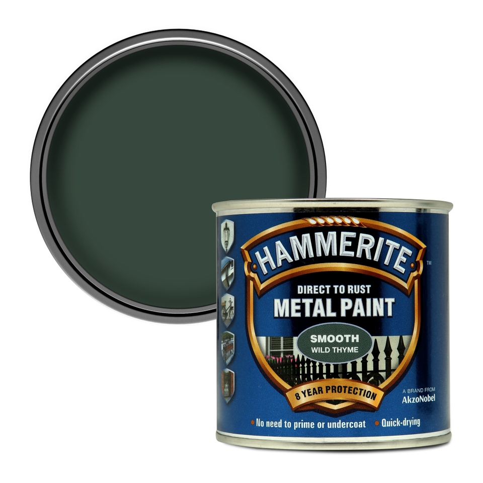Hammerite Hammerite Paint Homebase