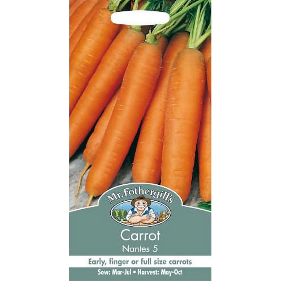 Mr. Fothergill's Carrot Early Nantes 5 (Daucus Carota) Seeds