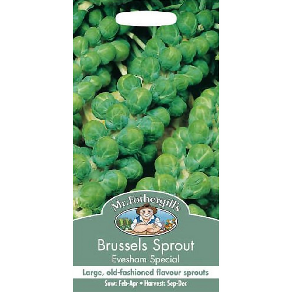 Brussels Sprout Evesham Special (Brassica Oleracea Gemmifera) Vegetable Seeds