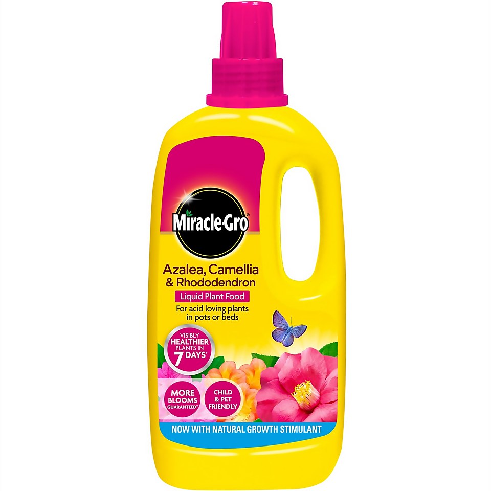 Miracle-Gro Azalea, Camellia & Rhododendron Concentrated Liquid Plant Food - 1L