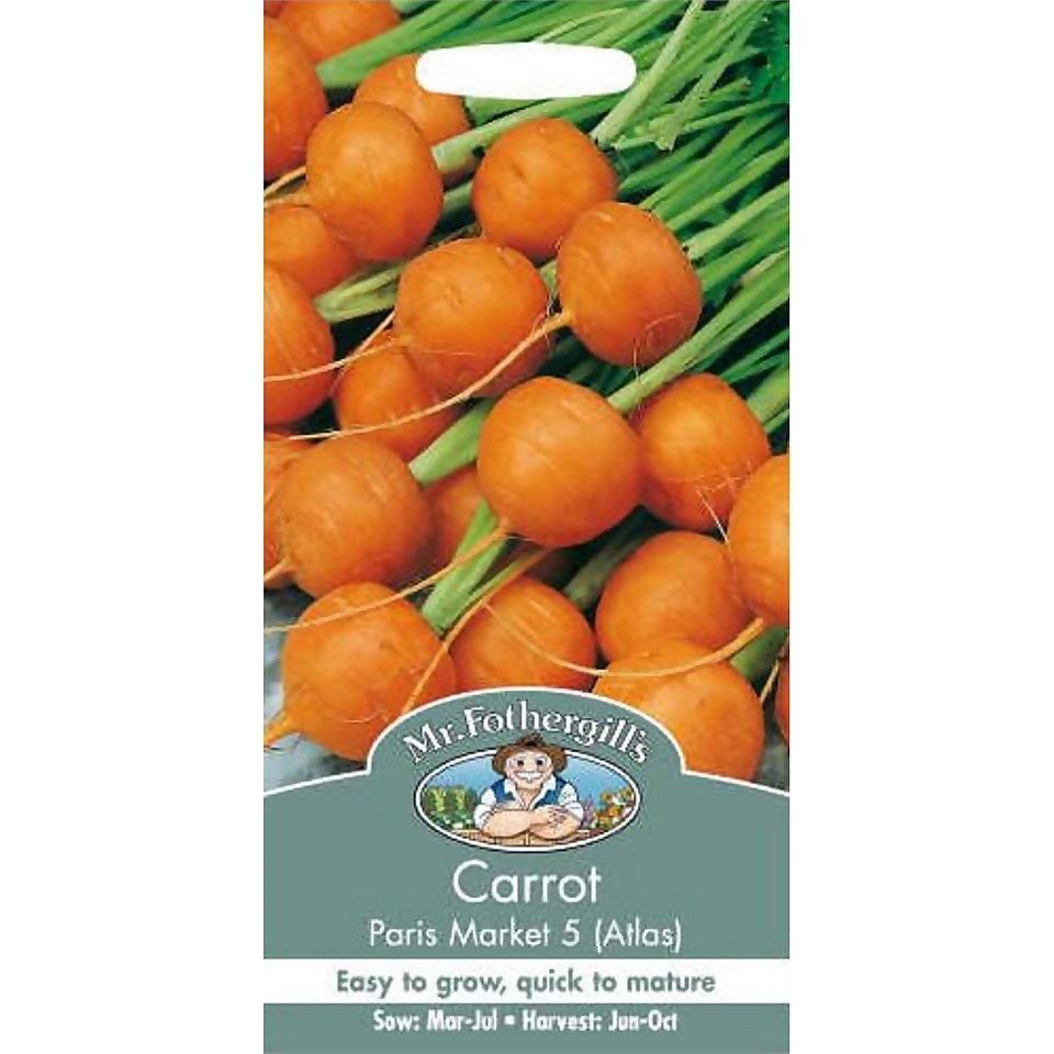 Mr. Fothergill's Carrot Paris Market 5 Atlas (Daucus Carota) Seeds