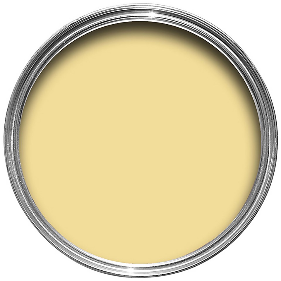 Farrow & Ball Exterior Masonry Dayroom Yellow No.233 - 5L
