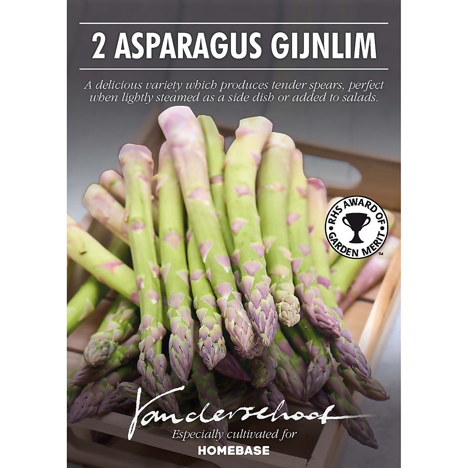 Asparagus 'Gijnlim'