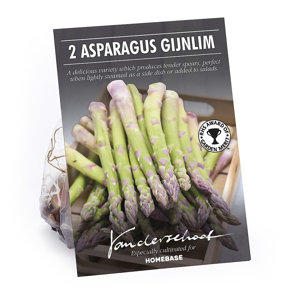 Asparagus 'Gijnlim'