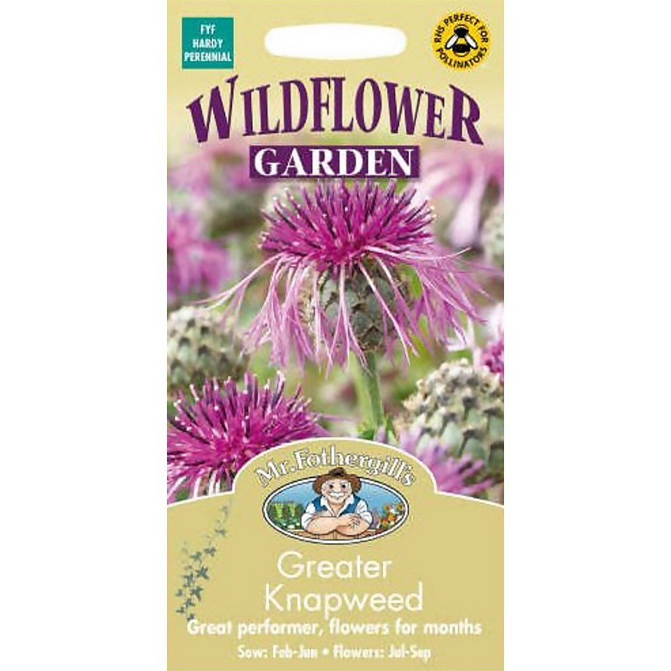 Mr. Fothergill's Greater Knapweed Seeds