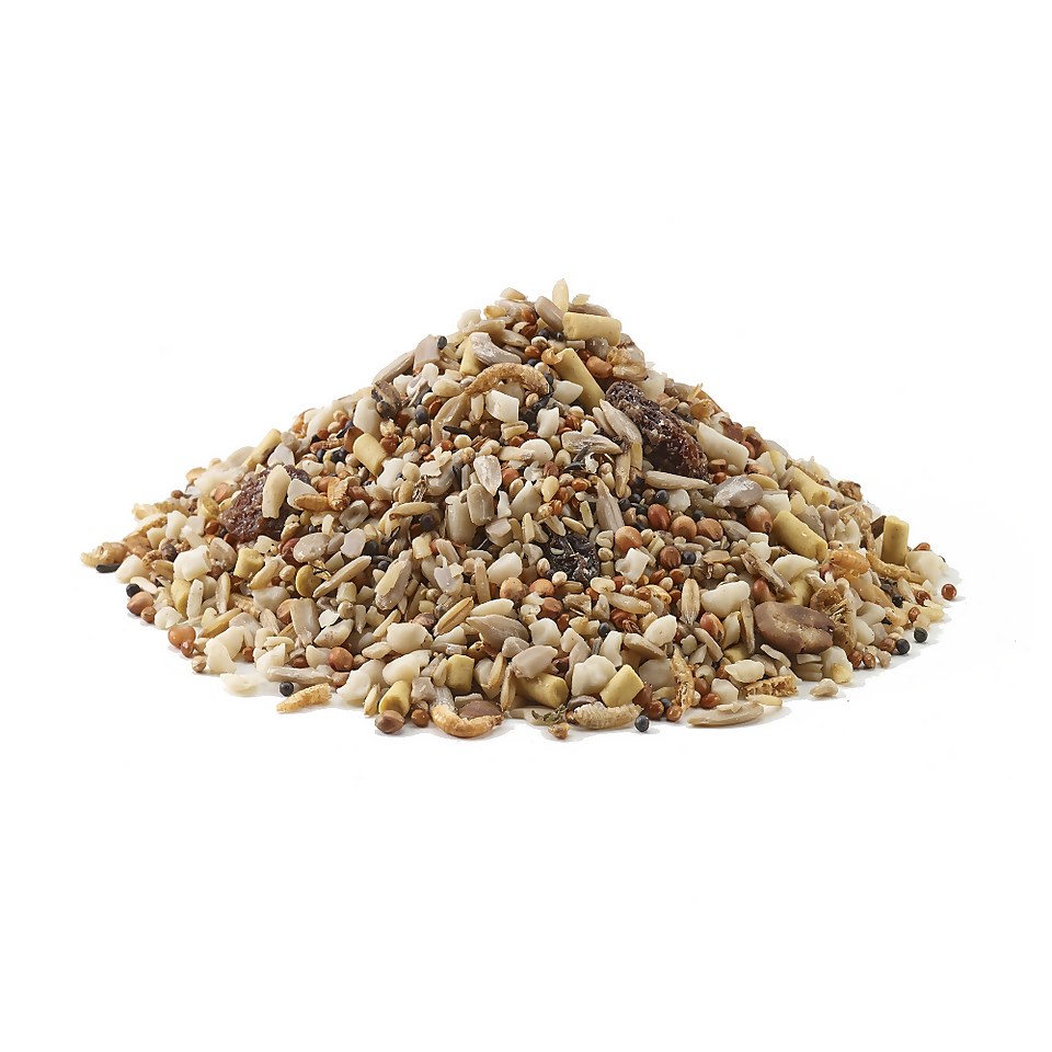 Peckish Blue Tit Seed Mix for Wild Birds - 1kg