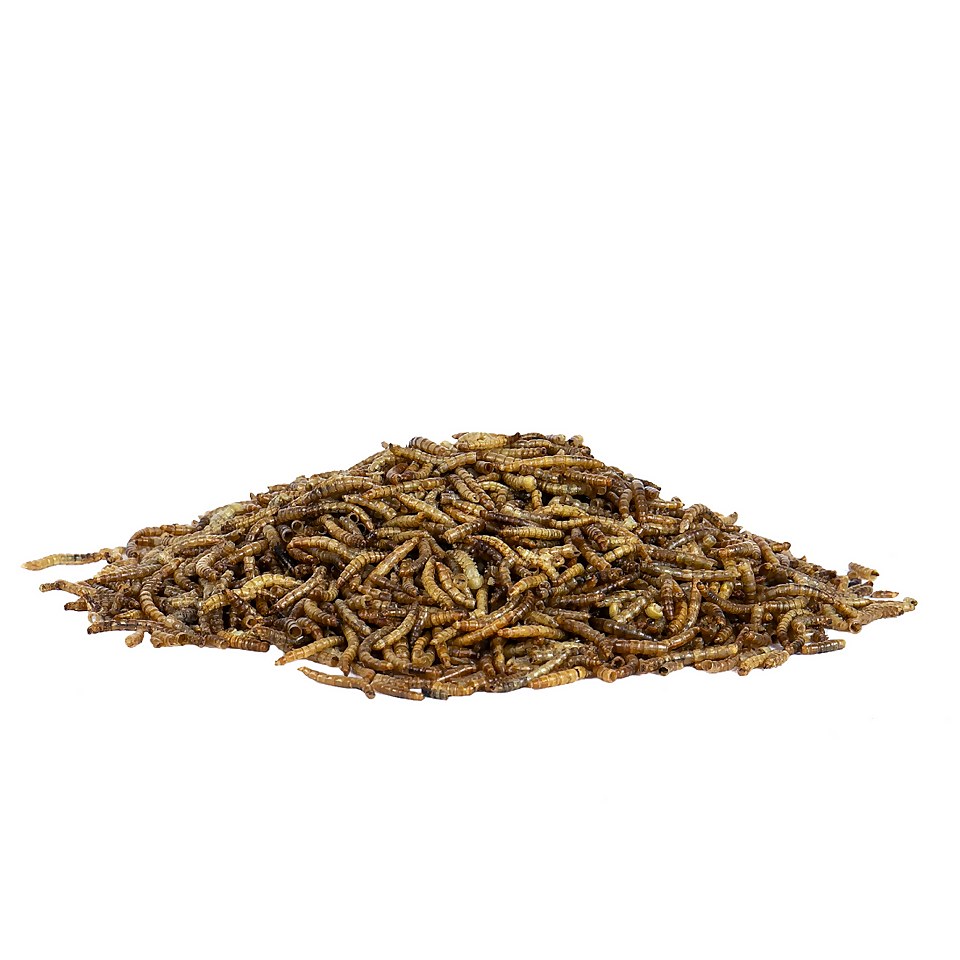Peckish Mealworms for Wild Birds - 175g